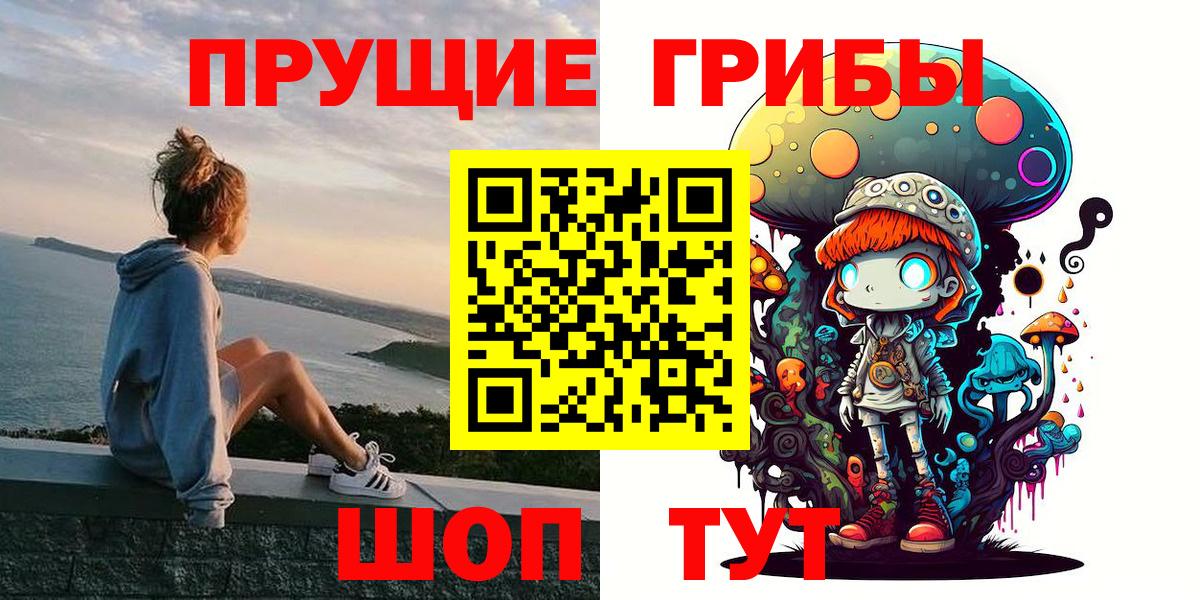 Галлюциногенные грибы Psilocybe Ейск