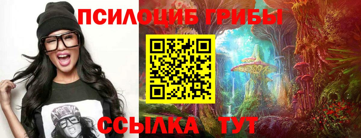Ейск  Псилоцибиновые грибы Psilocybe  цена   Вход с VPN 
